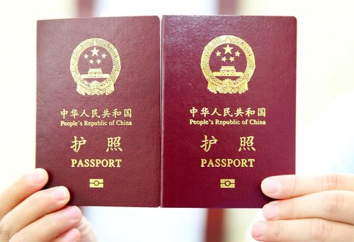不出国可以先办理护照吗